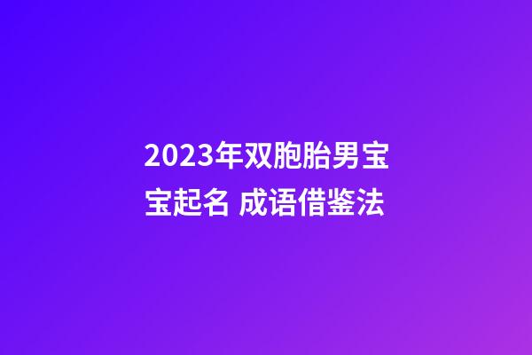 2023年双胞胎男宝宝起名 成语借鉴法